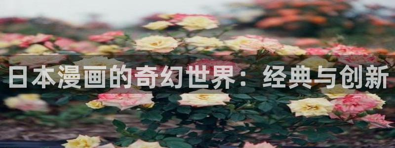 《51漫画》：日本漫画的奇幻世界：经典与创新