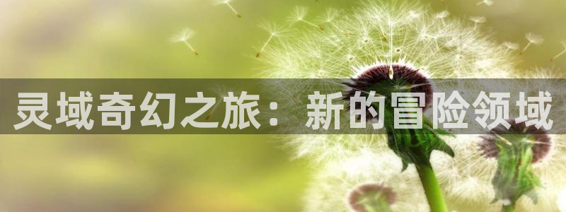 51漫画我的妈妈：灵域奇幻之旅：新的冒险领域