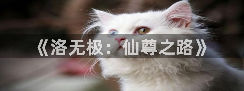 51漫画在线无限看免费：《洛无极：仙尊之路》