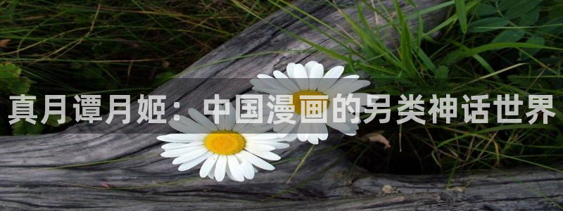 51漫画长人版：真月谭月姬：中国漫画的另类神话世界